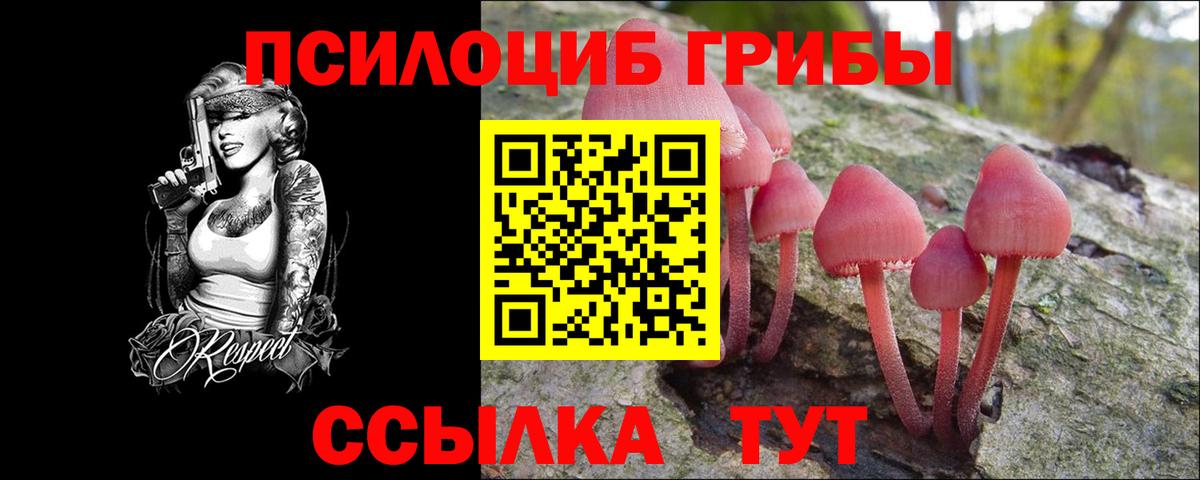 Подольск  Псилоцибиновые грибы Psilocybe  Вход с VPN 